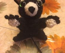 Чёрный енот