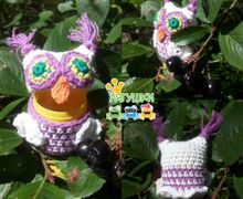 Сокровищница сова