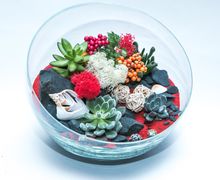 Флорариум-интересная альтернатива букету цветов