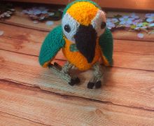 Попугай АРА