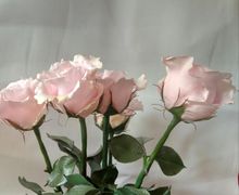 Розы из фоамирана