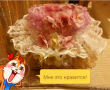 коробочка, котик, сердечко