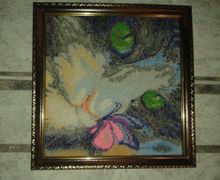 кот с бабочкой