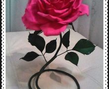 Маленький гигантик