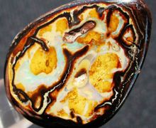 Австралийский матричный болдер опал Yowah, 37,00 карат.