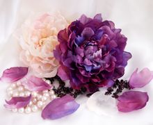 Пион Фиолетовое настроение