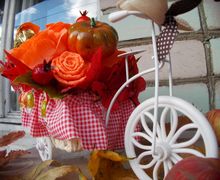 Велосипед "Осенний"