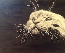 Картина "Взгляд кота"