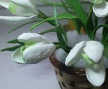 Корзиночка с подснежниками