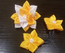 Солнечные заколки и резинка