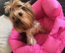 Лежанка-диванчик