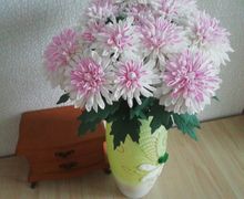 Букет хризантем