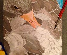 Продаю картины