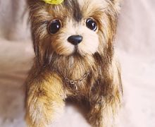 Йоркширский терьер Джесси и Дружок