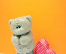 Мишка Тэдди🐻 Teddy Bear❤