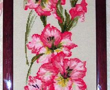 Гладиолусы