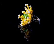 Кольцо Цвета лета