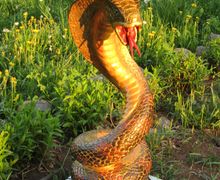 Резной столик "Кобра"