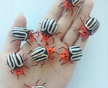 Колорадский жук брошь