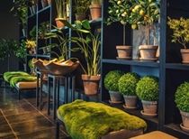 Декор для дома