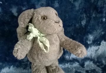 Заяц Костя
