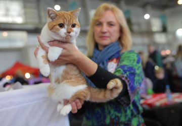 ЗООМИР. Выставка животных