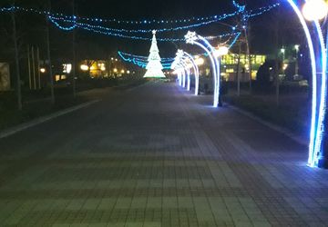 Новогодняя