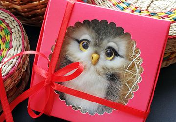 Брошь с совушкой