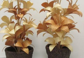 Цветы из дерева.