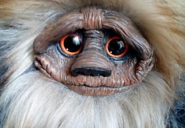 Чудище лесное