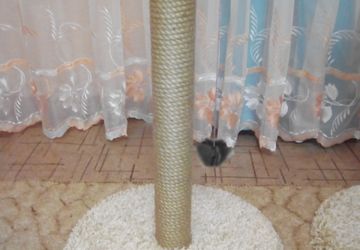 Когдеточки