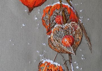 Вышивка крестом "Физалис".