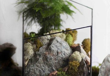 ФЛОРАРИУМ PEACEFUL WAY BIG