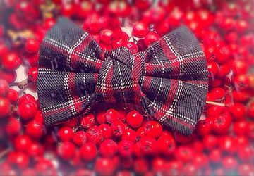 Галстуки-бабочки