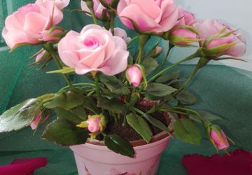 Ручная работа из полимерной глины.