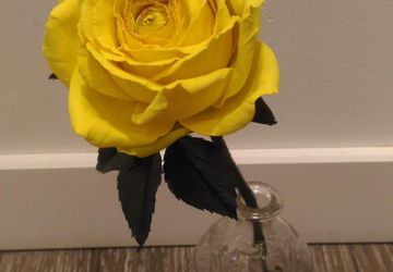 Роза на стебле из фоамирана