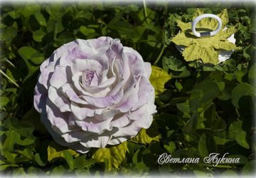 Резиночка для волос с розочкой из фоамирана.