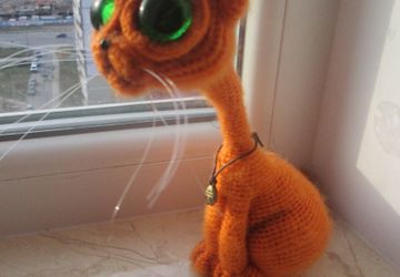 Кот с большими глазами