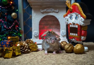 Щелкунчик. Миниарт. Настольная миниатюра ручной работы