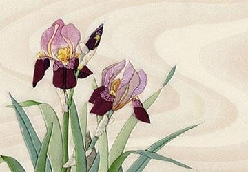 Кинусайга: картины из лоскутков