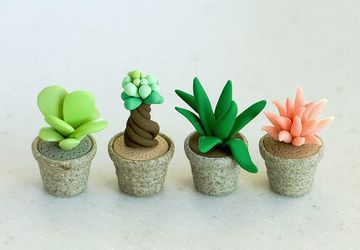 Съедобный кактус