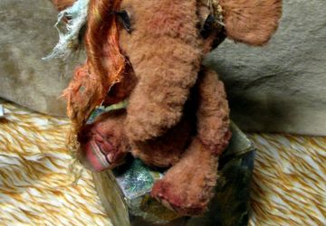 Тедди СЛОНяША,набивка только опилки