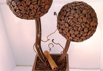 Кофейный топиарий