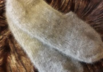 Следки из собачьей шерсти