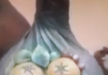 Ваза для интерьера.