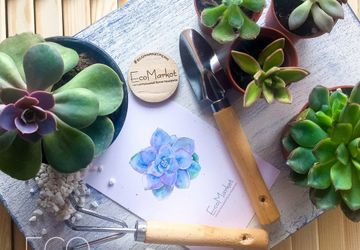 Мастер-классы в Перми