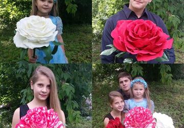 Огромная роза