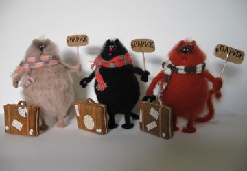 Кот путешественник