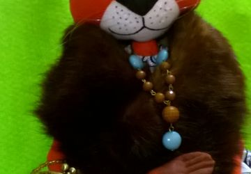 Кошка Мадлен