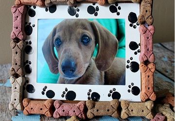 Рамка для фотографии для домашних животных.